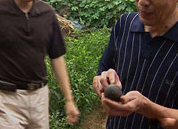 �߽���ѧ��һ����ֲ� �߽���ѧ�����¼�����Щ