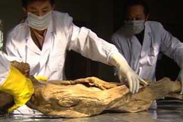 �߽���ѧ��һ����ֲ� �߽���ѧ�����¼�����Щ