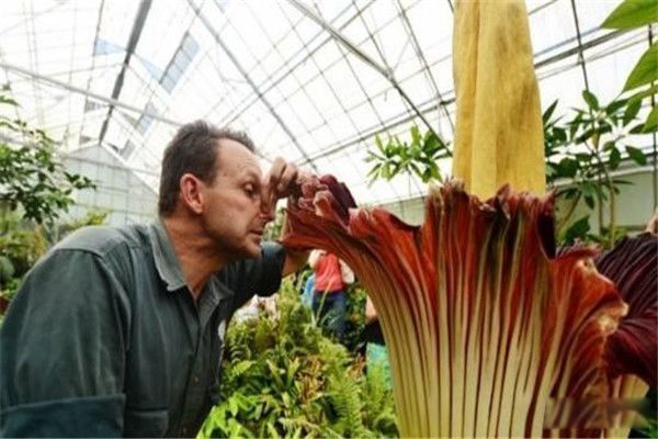 ̩̹ħ�󻨶�ͼƬ ʬ��ħ��ӷ��ֵ������ľ���