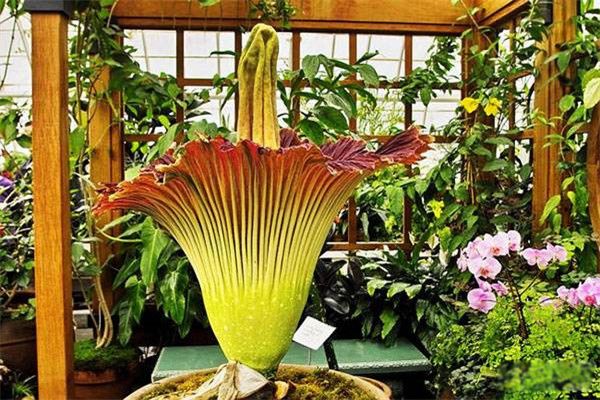 ̩̹ħ�󻨶�ͼƬ ʬ��ħ��ӷ��ֵ������ľ���