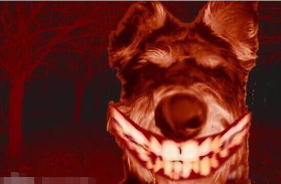 ΢Ц��Ϊʲô������ ΢Ц���ֲ�ԭͼ��������ô����