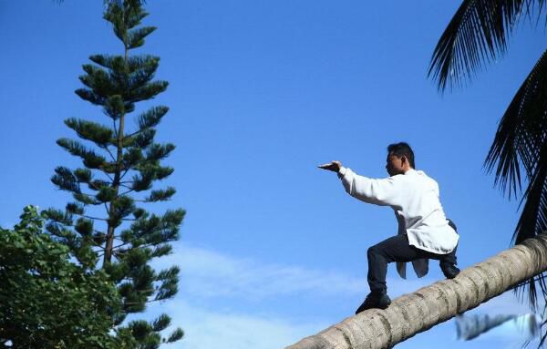 怎么自学武功能学会吗 练武功的三要素