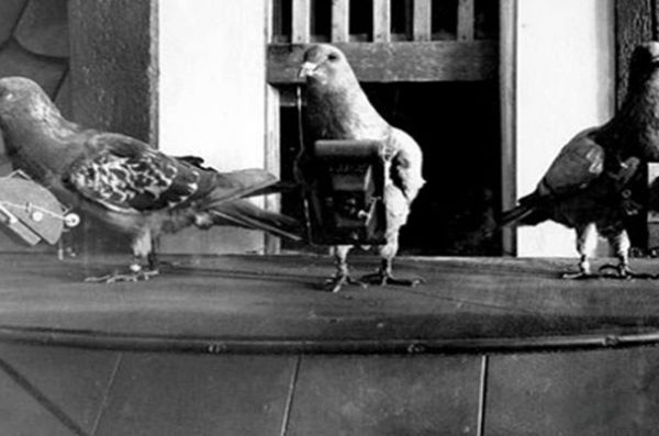 �������ŵ�������ʲô ʮ�ֲ��̵���������