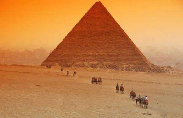 ������ֲ��Ĺ��� ����������������֮��