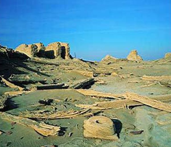 �޲������й�ʲô�ط� ʮ���޲��������¼�