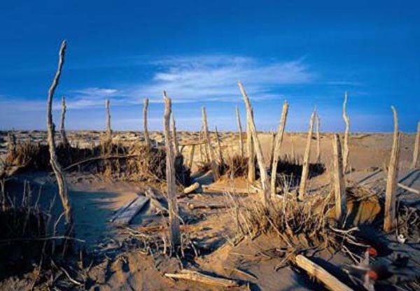 �޲������й�ʲô�ط� ʮ���޲��������¼�