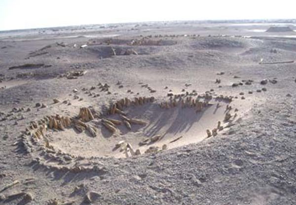 �޲������й�ʲô�ط� ʮ���޲��������¼�