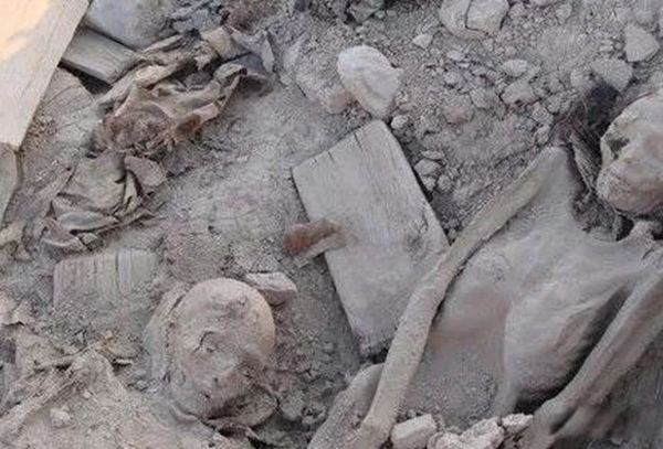 �޲������й�ʲô�ط� ʮ���޲��������¼�