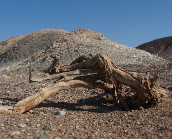 �޲������й�ʲô�ط� ʮ���޲��������¼�