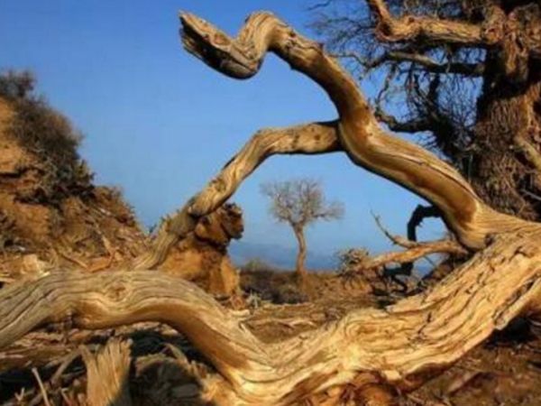 �޲������й�ʲô�ط� ʮ���޲��������¼�