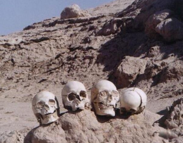 �޲������й�ʲô�ط� ʮ���޲��������¼�