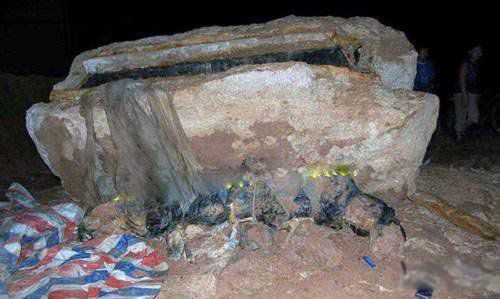 �й����10�������¼� ���Ŵ������¼��ǳ��Ŀֲ�