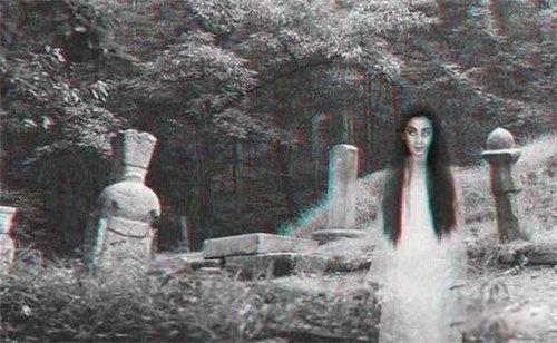 �й����10�������¼� ���Ŵ������¼��ǳ��Ŀֲ�