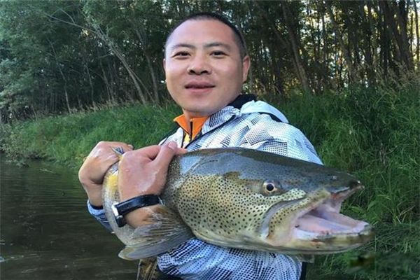 ����������15��������� ���˺�����������