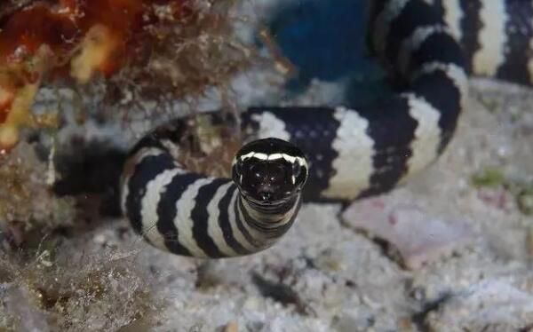 ��Ķ������а�ǰʮ�� ����������һ�ڶ�Һ����ɱ��1000��