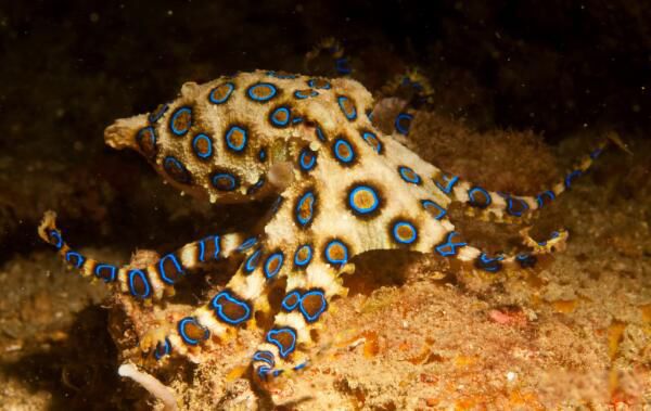 ��Ķ������а�ǰʮ�� ����������һ�ڶ�Һ����ɱ��1000��