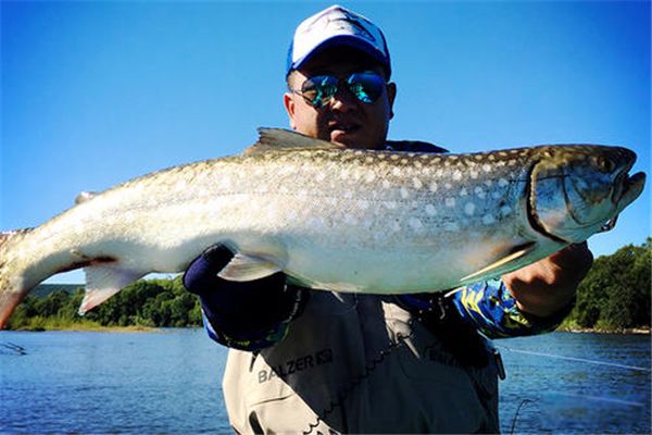 ����������15��������� ���˺����������ķ��ֵ�