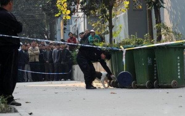 �޺���̬������ʬ�� �㶫�����޺�������ʬ��ֻ��Ϊ�����