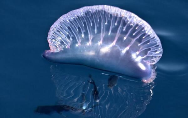 ��Ķ������а�ǰʮ�� ����������һ�ڶ�Һ����ɱ��1000��