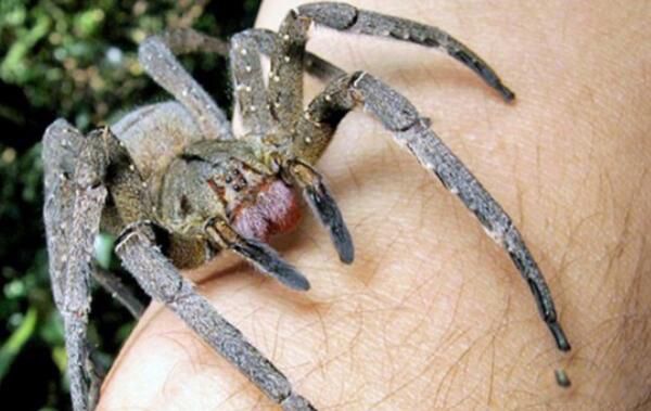 ��Ķ������а�ǰʮ�� ����������һ�ڶ�Һ����ɱ��1000��