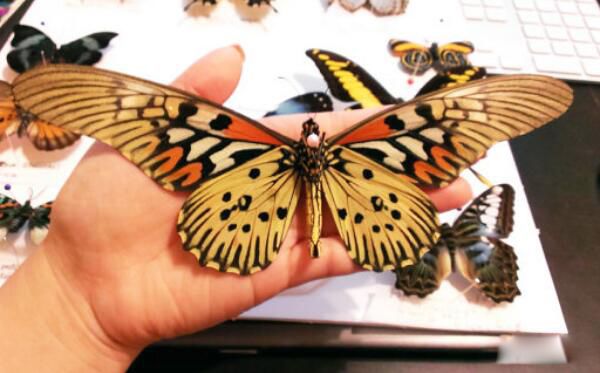 ��Ķ������а�ǰʮ�� ����������һ�ڶ�Һ����ɱ��1000��