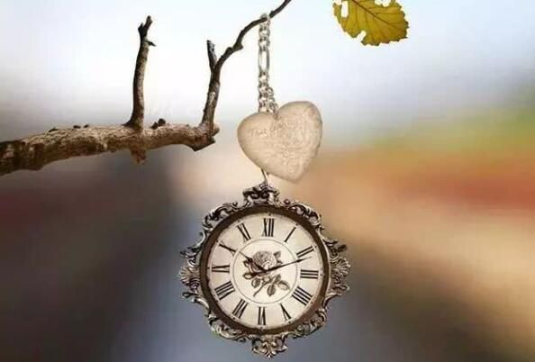 ���ɳ�������ɶ��˼ ��ô����������������