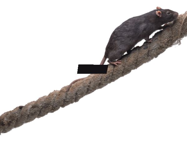 ��������ʲô��? ŷ�޺�������ʷ�¼�����