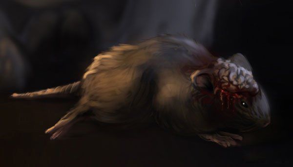 ʮ����ֲ���ʬ���� ��ʬ��ţ�ļ�����ϵ��ֱ����ֱ��