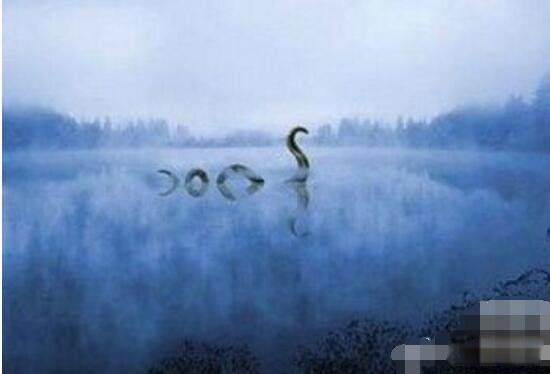 ����ˮ��������� ��������Σ�յ�ˮ������˵�Ǿ���