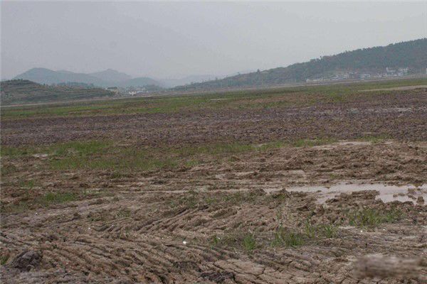 һƽ��ǧ�׵��ڼ����� �й�Ķ����ƽ�����Ƕ���