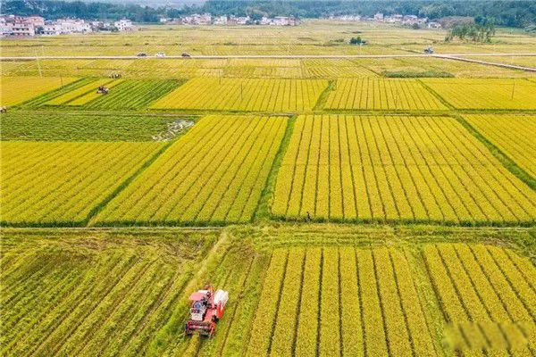 һƽ��ǧ�׵��ڼ����� �й�Ķ����ƽ�����Ƕ���