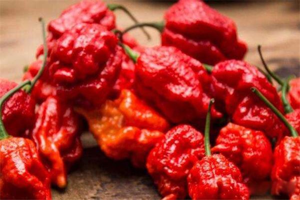 ����������������ʲô���� ������һ���ǹ���������