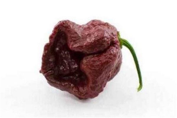 ����������������ʲô���� ������һ���ǹ���������