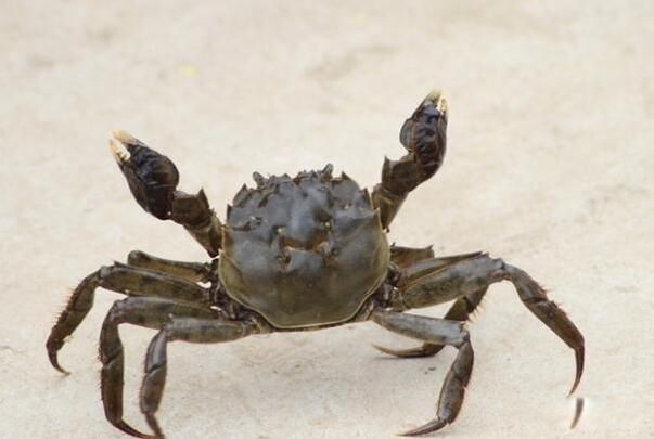 �������з�������ų��� Ϊʲô��Ҫ��,������ϰ���й�