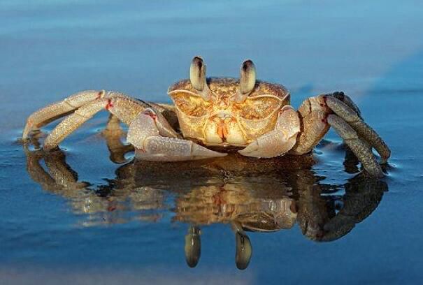 �������з�������ų��� Ϊʲô��Ҫ��,������ϰ���й�