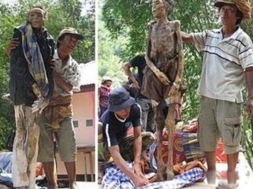 ������ʬ����ʵ��Ƭ ������ʬ��ʲô��˼