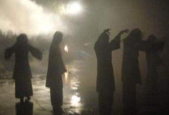 ������ʬ����ʵ��Ƭ ������ʬ��ʲô��˼