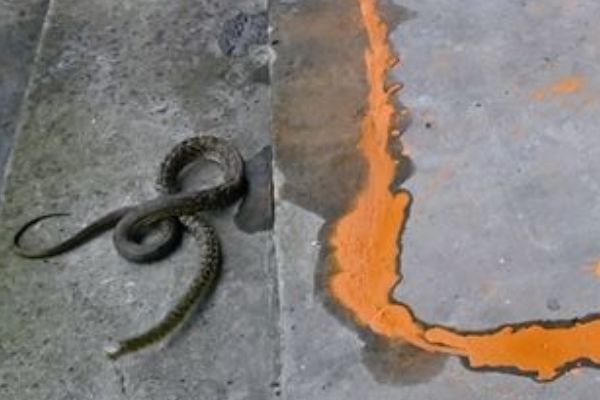 �ۻ���Ŀ����������� ���ߵ�˵������ȫ������