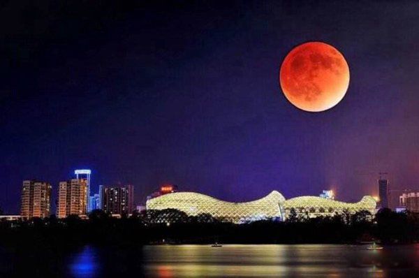 ��ɫ����������ô���� ����Ѫ��Ϊʲô���ܿ�