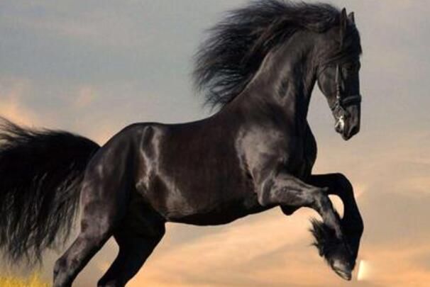 ����ĺ�ʲô��������,������ ����ţ����û�й�ͬ����