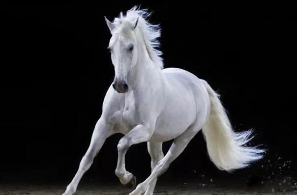 ����ĺ�ʲô��������,������ ����ţ����û�й�ͬ����