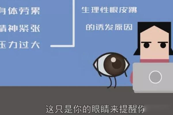 ���������������ֵ��������� ���˵���������