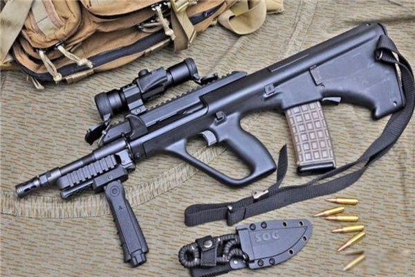 ����ʮ�����ǹ֧������Щ? ��ھ��ѻ���ǹ�ڶ�ս�ڼ䱻�㷺ʹ��