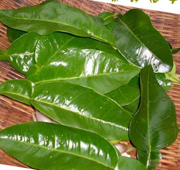 ������û��ʲô���а�Ķ��� ��а�����10�����