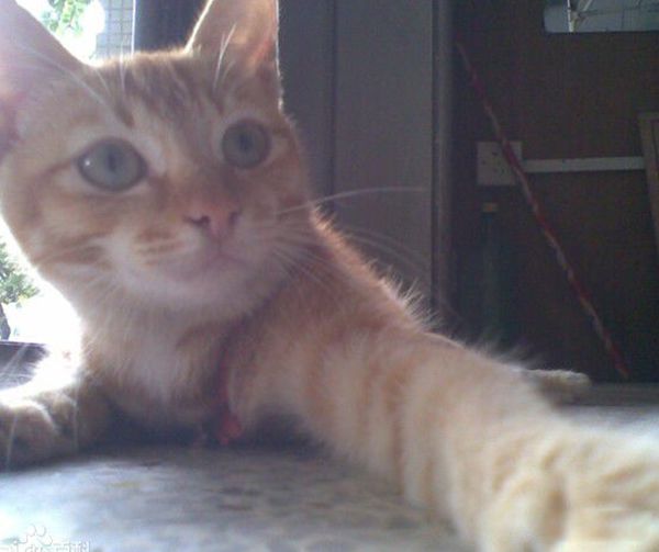 è������˵�ʮ�ֱ��� ʹ��ҧ���������Լ�����������