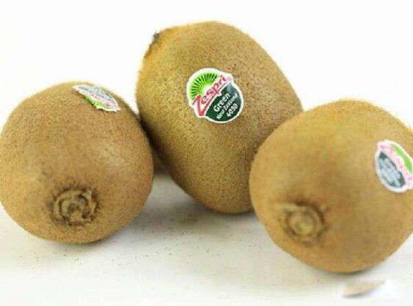 ⨺��������Ի������� �������ʵ�����ò�Ҫ���