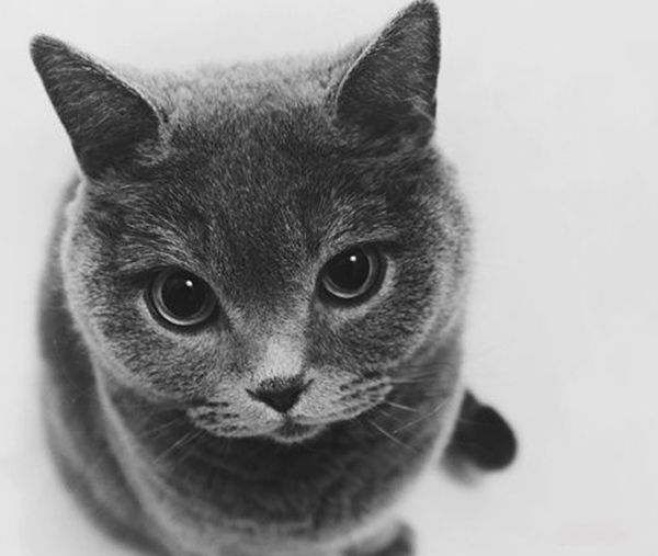 è������˵�ʮ�ֱ��� ʹ��ҧ���������Լ�����������