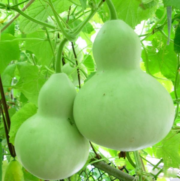 ������û��ʲô���а�Ķ��� ��а�����10�����