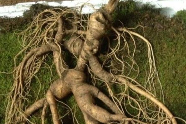 ���������ص��˲��ж��� �й�����˲��������ж��