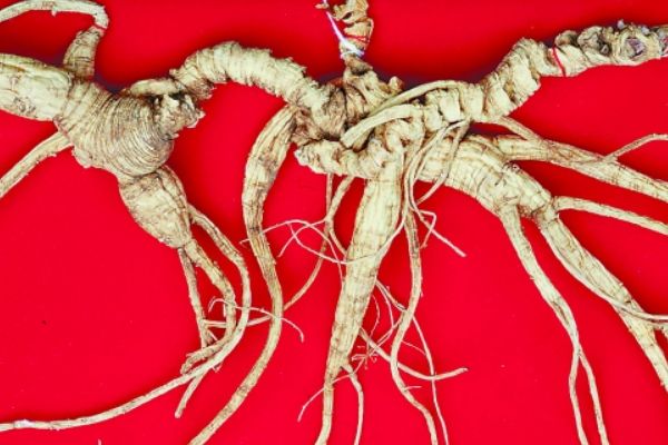 ���������ص��˲��ж��� �й�����˲��������ж��